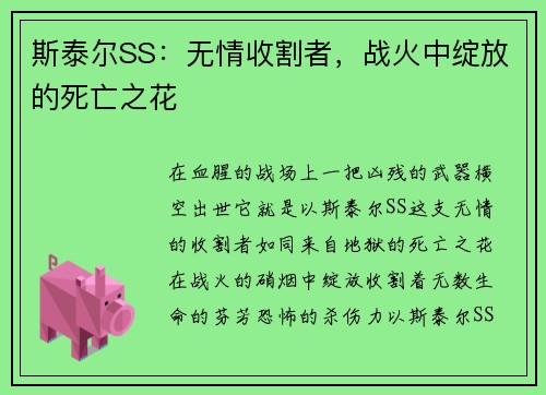 斯泰尔SS：无情收割者，战火中绽放的死亡之花